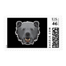 black bear face