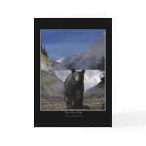 BLACK BEAR FALLS Greeting Cards & Note Cards