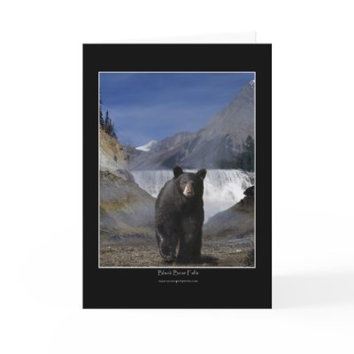 BLACK BEAR FALLS Greeting Cards & Note Cards by RavenSpiritPrints