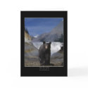 BLACK BEAR FALLS Greeting Cards & Note Cards by RavenSpiritPrints BLACK BEAR FALLS Greeting Cards & Note Cards