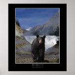 BLACK BEAR FALLS Photo Poster