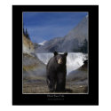 BLACK BEAR FALLS Photo Poster posters by RavenSpiritPrints BLACK BEAR FALLS Photo Poster posters