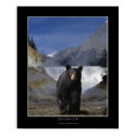 BLACK BEAR FALLS Photo Poster posters by WILDERNESS_SHOP BLACK BEAR FALLS Photo Poster posters