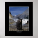 BLACK BEAR FALLS Wildlife Photo Poster