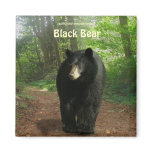 BLACK BEAR Forest Nature Magnet