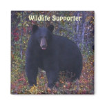 BLACK BEAR Forest Nature Magnet