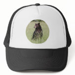 Black Bear Hats