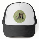 Black Bear Trucker Hats
