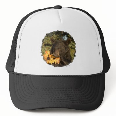 Black Bear Hat by luv2wander