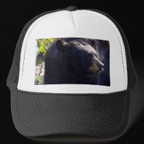 black bear Hat hats