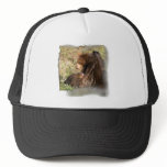 Black Bear Hat