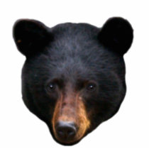 BLACK BEAR Head Sculpted Wildlife Art Gift Photo Sculptures