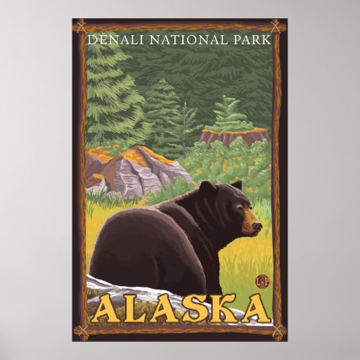 Black Bear in Forest - Denali National Park, AK Posters