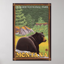 Black Bear in Forest - Glacier National Park, MT Posters