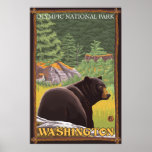 Black Bear in Forest - Olympic Nat'l Park, WA Print