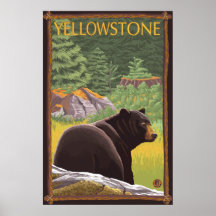 Black Bear in Forest - Yellowstone National Park Posters