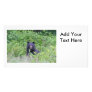 Black Bear in the Woods Photo Greeting Card