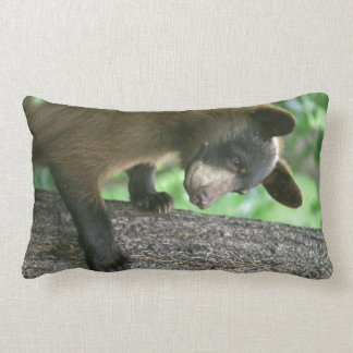 black bear pillows