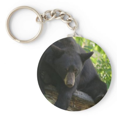 black bear key chains