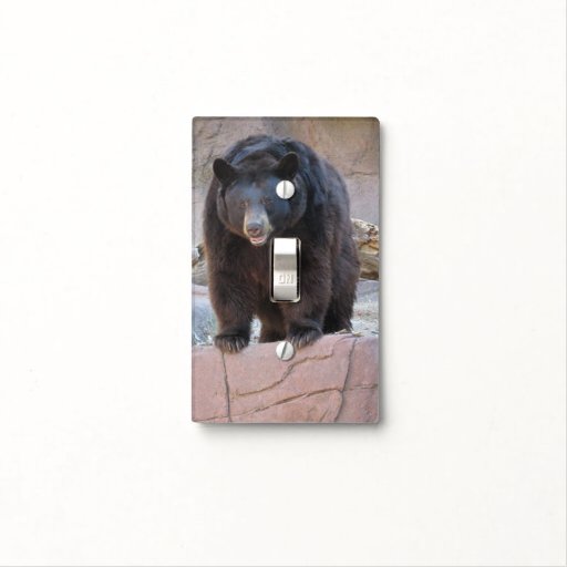 Black Bear Switch Plate Cover
