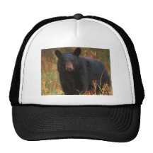 Black Bear Mesh Hats