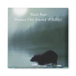 BLACK BEAR & Moonlight Nature Magnet