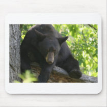 black bear mouse pads