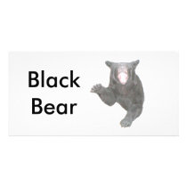 Black Bear photo cards