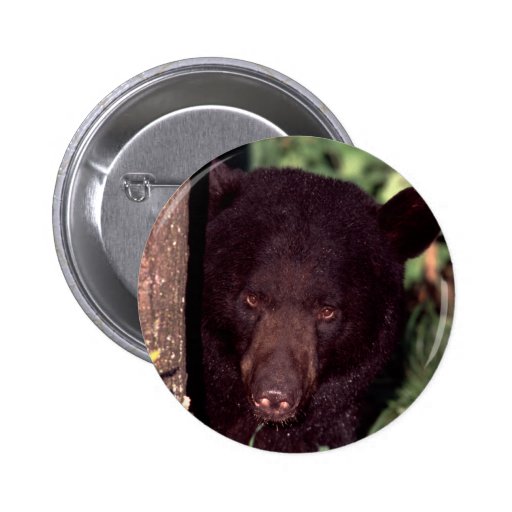 Black Bear Pin
