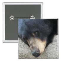 black bear buttons