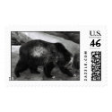 Black Bear postage by bmharris Black Bear postage