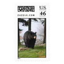Black Bear postage