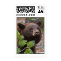 Black Bear postage by WorldDesign Black Bear postage