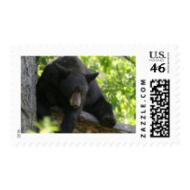 black bear postage