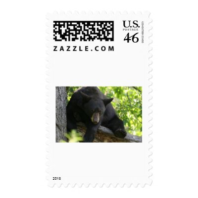 black bear postage