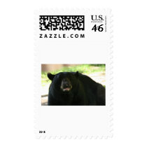 black bear stamps