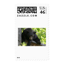 black bear postage
