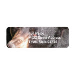 Black Bear Return Address Label