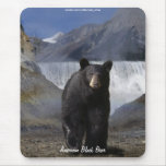 Black Bear & Rocky Mountain Waterfall Mousepad