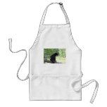 blackbears, black, bear, cubs, bears, postcards, posters, photos, pics, info, reasearch, cute, wild