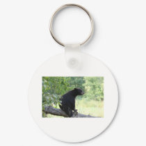 black bear sitting in tree keychains by michaelcyr1234 black bear sitting in tree keychains