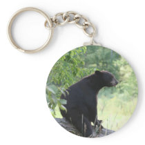 black bear sitting in tree key chains