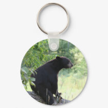 black bear sitting in tree keychains by michaelcyr1234 black bear sitting in tree keychains