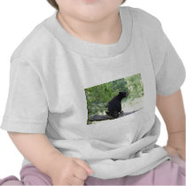 black bear sitting in tree tee shirt