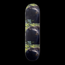Black Bear Skateboard skateboards