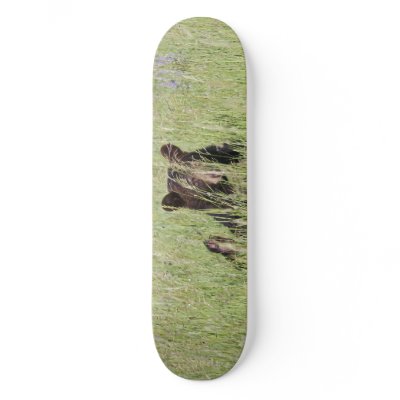 Black Bear Skateboard by luv2wander