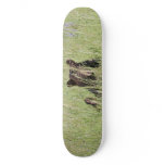 Black Bear Skateboard