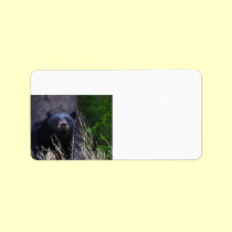 black bear smile labels