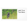 Black Bear Standing Up Photo Card Template