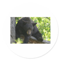 black bear stickers by michaelcyr1234 black bear stickers